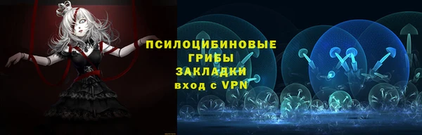 не бодяженный Алексин
