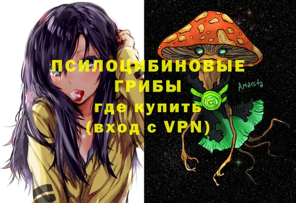 гашик Алзамай