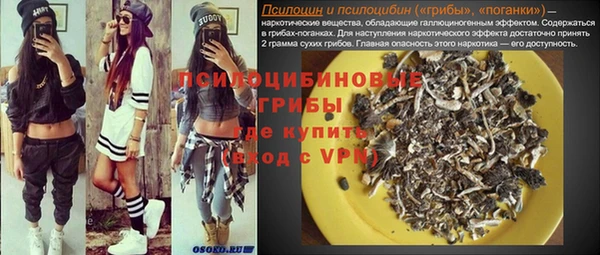 гашик Алзамай