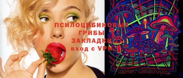 прущие грибы Алексеевка
