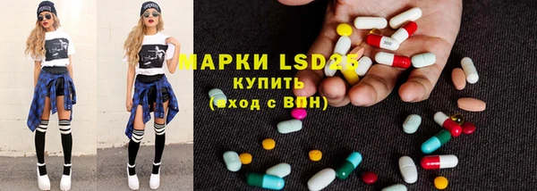 прущие грибы Алексеевка