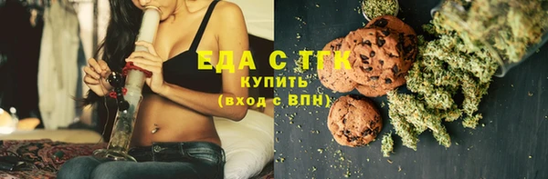 гашик Алзамай