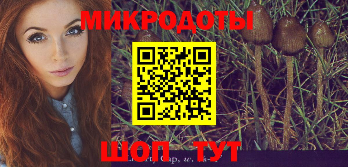 Псилоцибиновые грибы GOLDEN TEACHER  купить наркоту  Вход с VPN  Ахтубинск  Псилоцибиновые грибы GOLDEN TEACHER 