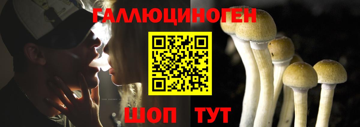 Галлюциногенные грибы Cubensis Ахтубинск